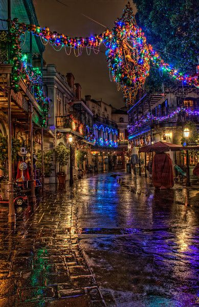 Christmas in New Orleans   I think part of what makes New Orleans Square so different than other areas of Disneyland at Christmas is its rich, jewel tone color scheme. I love the way those colors dance across everything in their reach, especially the ground. The night it rained while...Read more here at Tours Departing Daily Christmas In New Orleans, Nouvelle Orleans, George Town, Grand Cayman, Montego Bay, New Orleans Louisiana, Christmas Scenes, Happiest Place On Earth, City Street