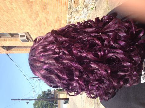 Hair Dye Ideas For Wavy Curly Hair, Dark Purple Curly Hair Black Women, Dark Pink Hair Curly, Curly Violet Hair, Dyed Curly Hair Ideas Colour Purple, Dark Pink Curly Hair, Dark Purple Hair Curly, Violet Curly Hair, Plum Curly Hair