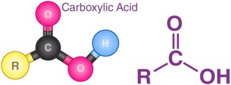 Chemistry Definition, Organic Synthesis, Functional Group, Hydrogen Atom, Carboxylic Acid, Colorful Borders Design, Colorful Borders, Artificial Fruit, Water Molecule