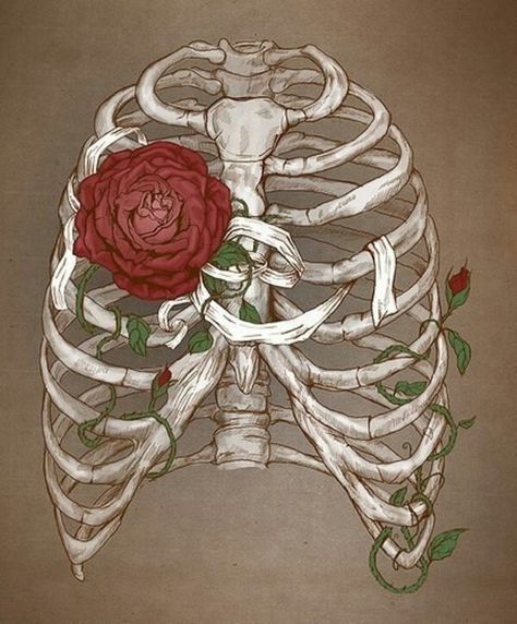 Roses women and skeletons Skeleton Drawings, Frida Art, Art Beat, Bone Art, Skeleton Art, A Skeleton, Skeleton Halloween, Anatomy Art, Rib Cage