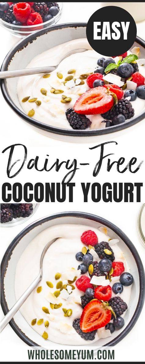 Dairy Free Coconut Yogurt Recipe Coconut Yoghurt Recipe, Dairy Free Yogurt Recipe, Dairy Free Greek Yogurt, Coconut Yogurt Recipe, Homemade Coconut Yogurt, Homemade Yogurt Recipes, Coconut Aesthetic, Sugar Free Yogurt, Yoghurt Recipe