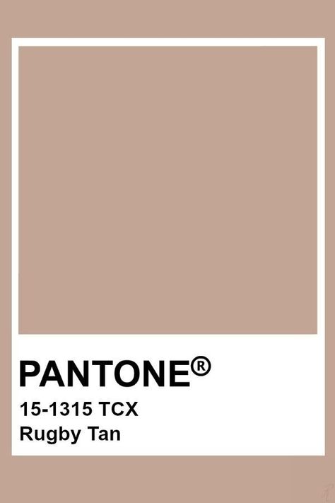 Beige Pantone, Murs Roses, Pantone Swatches, Pantone Palette, Pantone Colour Palettes, Color Inspo, Colour Board, Colour Schemes, Color Pallets