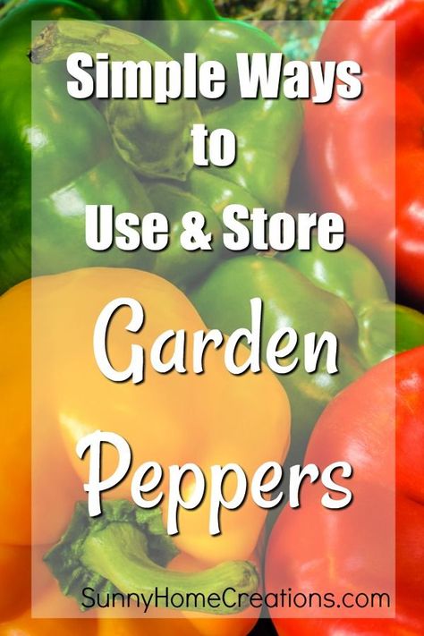 How To Use Up Green Peppers, How To Store Peppers From Garden, What To Do With Green Peppers From The Garden, Storing Peppers From Garden, How To Store Green Peppers, What To Do With Lots Of Green Peppers, Best Way To Store Peppers, Preserve Green Peppers, What To Do With Garden Peppers