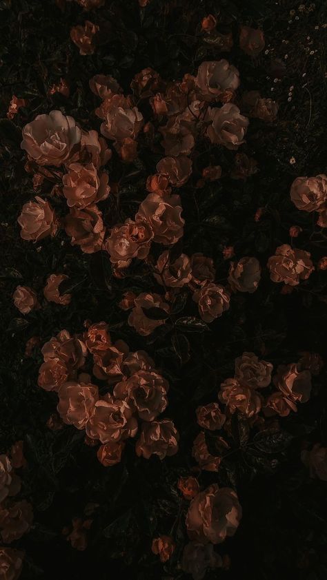 Ipad Inspo, Dark Academia Wallpaper, Stoic Philosophy, Flower Background Images, Motivation Psychology, Cocoppa Wallpaper, Vintage Flowers Wallpaper, Banner Ideas, Academia Wallpaper