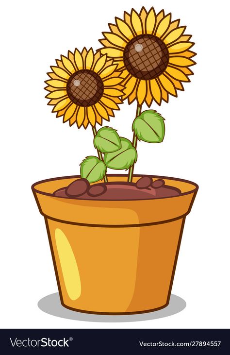 Clay Sunflowers, Sunflower In A Pot, Pot Illustration, Drawing Pictures For Kids, Potted Sunflowers, Sunflower Accessories, Cute Owls Wallpaper, Sunflower Clipart, Owl Wallpaper