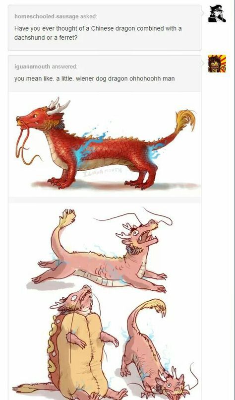 I cantt😂 Chinese Dragon Drawing, Dragon Dog, Dragon Funny, Magnum Opus, Wiener Dog, Dragon Art, Mulan, Creature Art, Tumblr Funny