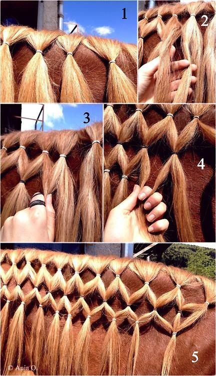 My favorite type of braid, the Diamond braid. Mane Braiding, Horse Mane Braids, Horse Hair Braiding, Horse Braiding, Tail Braids, Horse Riding Tips, Horse Mane, Horse Costumes, Horse Tail