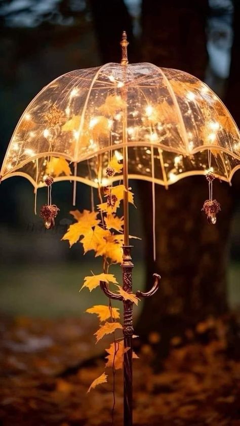 Fairy Light Photography, Cozy Rainy Day, Umbrella Decorations, Rain Wallpapers, Halloween Facts, Umbrella Lights, Autumn Fairy, Fall Images, Autumn Rain