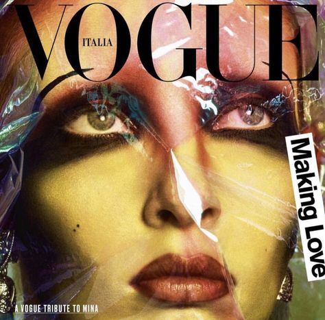 Tribute to MINA! 😍😍😍 @vogueitalia Special Vinyl Record! Photo @luigiandiango #minamazzini #legend #icon #diva ❤️ I've been such a huge fan of Mina ever since my amazing Italian husband introduced me to her. The makeup looks she served has inspired me endlessly! #erinparsonsmakeup Magazine Cover Layout, Makeup Artist Portfolio, Portrait Album, Dna Model, Vogue Brazil, Vogue Magazine Covers, Iris Van Herpen, Fashion Magazine Cover, Vogue Us