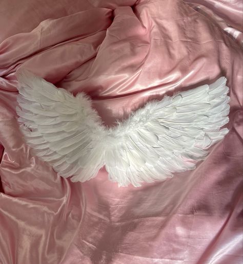 selkie white angel wings on a pink satin blanket, the sun is shining on half of the wings. Angel Wings Halloween, Tumblr Vibes, Love Core, Rosé Halloween, Streetwear Luxury, Angelic Aesthetic, Satin Blanket, Necklace B, Diy Angel Wings