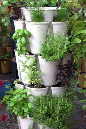 Herb Garden Tower Ideas, Mr Stacky Planting Ideas, Stacked Herb Garden, Herb Tower Vertical Planter, Plant Tower Vertical Planter, Vertical Lettuce Garden, Greenstalk Planter Ideas, Stacking Planter Ideas, Greenstalk Vertical Planter Ideas