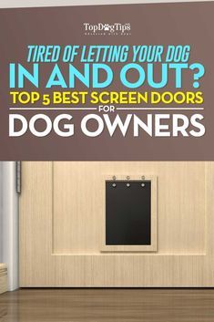 Doggy Doors, Automatic Dog Door, Best Dog Door, Outdoor Dog Area, Pet Screen Door, Aluminum Screen Doors, Doggy Door, Dog Doors, Diy Screen Door