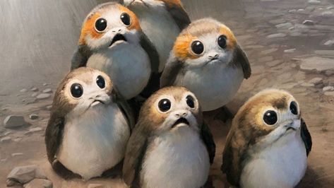 Star Wars: The Last Jedi Porgs Cute Penguin Cartoon, Penguin Cartoon, Dark Vador, Psy Art, Star Wars Film, Cute Penguin, Movies And Series, Star Wars Fan Art, Last Jedi