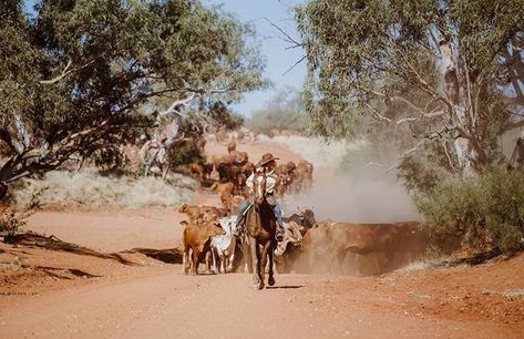 Cattle Station, Australia Outback, Ag Photography, Farm Cabin, Horse Riding Aesthetic, Horse Stall, Country Photography, Mountain Landscape Photography, Farm Photography