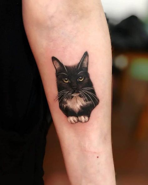 Cute cat tattoo design White Cat Tattoo, Tuxedo Cat Tattoo, Minimalist Cat Tattoo, Cat Outline Tattoo, Black Cat Tattoo, Tattoo Advice, Cat Tattoo Ideas, Cute Cat Tattoo, Cat Outline