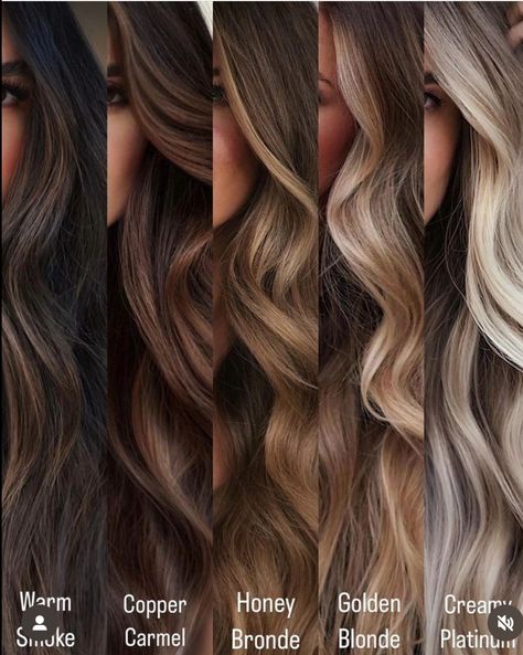 Brown Hair With Blonde Lowlights, Brown Hair Chart, Black Hair Balayage, Honey Brown Hair, Hair Color Options, Brown Hair Inspo, Hair Inspiration Long, Brunette Hair With Highlights, Brown Hair With Blonde Highlights