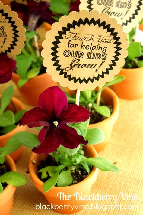 Free printable teacher card to go in a small potted herb | Blackberry Vine Pta Teacher Appreciation Gifts, Blackberry Vine, Parent Volunteers Gifts, Volunteer Appreciation Gifts, Pastor Appreciation, Volunteer Gifts, Cadeau Parents, Appreciation Ideas, Volunteer Appreciation