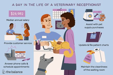 Veterinary Receptionist Job Description: Salary & More Vet School Motivation, Vet Receptionist, Veterinary Receptionist, Receptionist Jobs, Veterinary School, Vet Medicine, Workplace Humor, Vet School, Vet Clinic