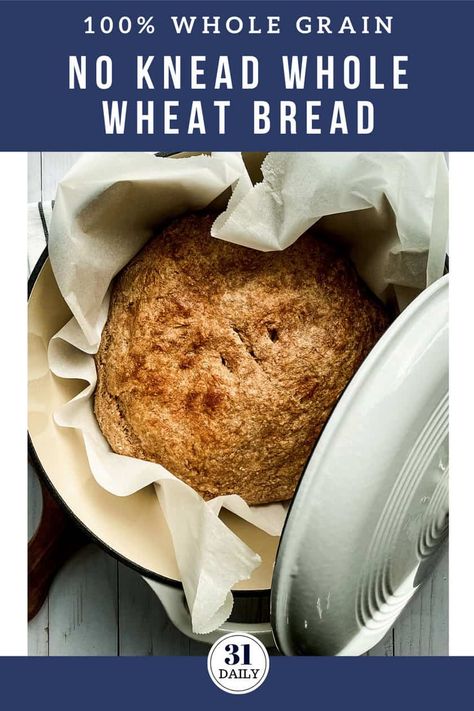 This quick and easy No Knead Whole Wheat bread is a delicious bread I make often. With a moist and tender crumb, sweetened with honey, it's a go-to no-knead bread recipe at our house. #noknead #wholewheat #bread #wholegrain #dutchovenbread #dutchoven #31Daily #baking Organic Bread Recipe, No Knead Whole Wheat Bread, Chicken And Noodle Recipes, Nutrient Rich Meals, Mediterranean Bread, Homemade Whole Wheat Bread, 100 Whole Wheat Bread, Crock Pot Bread, Honey Wheat Bread