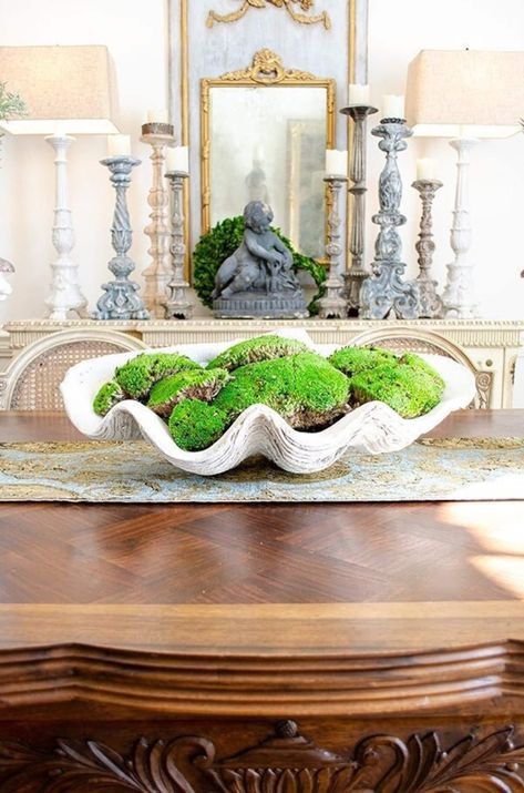 Amazing Large Clam Shell, Faux Clam Shell, Plaster - Etsy Canada Large Clam Shell Decor, Clam Shell Decor, Mantle Inspiration, Large Clam Shell, House Foyer, Shell Centerpieces, Future Decor, Giant Clam Shell, Giant Clam