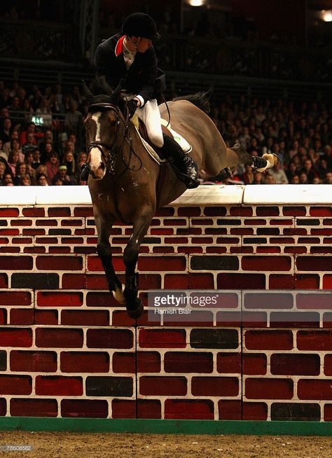 William Whitaker, Buy A Horse, Horse Showing, Dream Future, December 21, Horse Show, Show Jumping, London United Kingdom, Show Photos