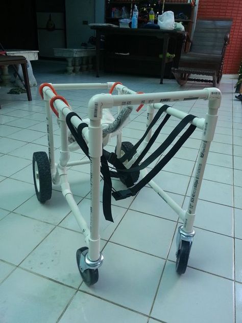 PVC Whole Body Dog Wheel-chair tutorial: 12 Steps Pvc Cart With Wheels, Pvc Pipe Art, Diy Dog Wheelchair, Pvc Crafts, Pvc Joints, Pvc Chair, Pet Store Ideas, Dog Wheelchair, Pvc Pipe Crafts