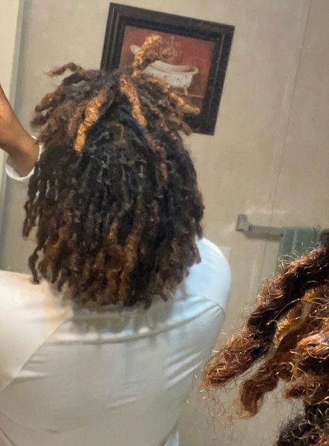 Locs With Streaks, Brown Skunk Stripe Locs, Loc Dye Ideas, Locs Ideas, Dyed Dreads, Dreadlocks Hair Care, Loc Goddess, Loc Inspiration, Cute Dreads