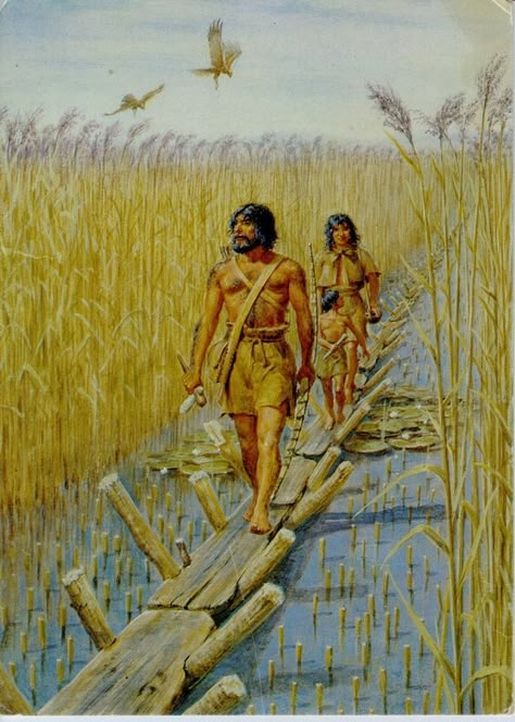 Somerset Levels, Prehistoric Man, Ages Of Man, Prehistoric World, Early Humans, Prehistoric Art, Iron Age, Stone Age, Prehistoric Animals