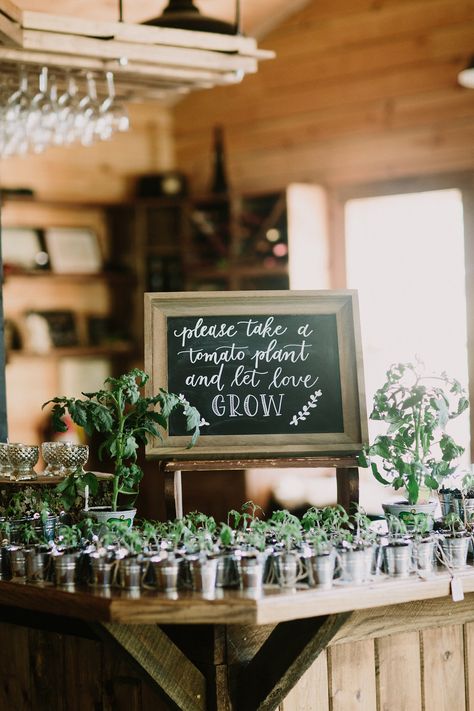 Wedding Gifts For Guests Plants, Wedding Souvenirs Plants, Plant Wedding Souvenir, Herbs For Wedding, Plant Thank You Gifts Wedding, Seedling Wedding Favors, Propagation Wedding Favors, Herb Wedding Favors, Plant Party Favors Wedding