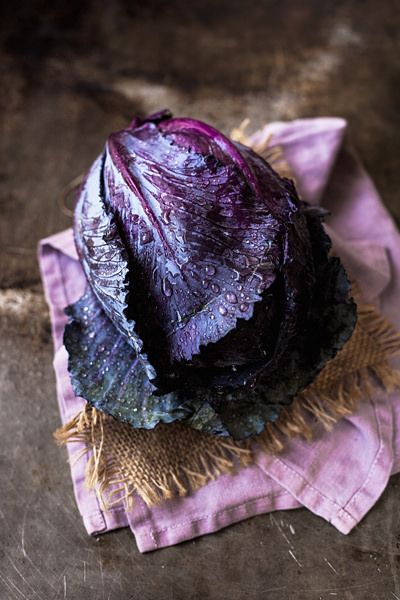 Purple Cabbage Purple Food, Purple Cabbage, Fruit Vegetables, All Things Purple, Plum Purple, Fruit And Veg, Purple Lilac, Purple Rain, Beautiful Food