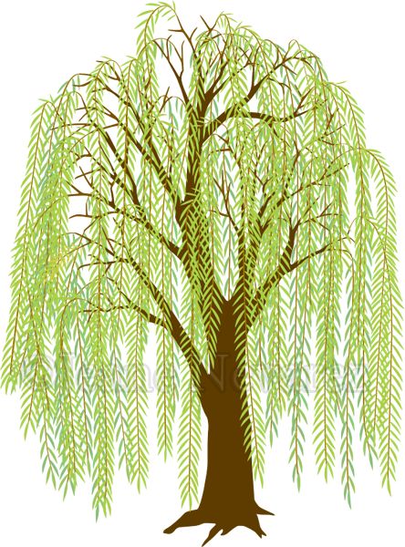 Willow Tree Art, Willow Tree Tattoos, Sulaman Pita, Embroidery Lessons, Tree Clipart, Weeping Willow, Handmade Embroidery Designs, Hand Embroidery Flowers, Embroidery Flowers Pattern