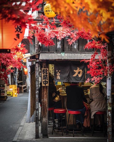 Japan Fall Season, Autumn Japan Photography, Japan In Autumn Aesthetic, Tokyo Fall Aesthetic, Tokyo In Autumn, Japan Aesthetic Autumn, Fall In Japan Aesthetic, Japanese Autumn Aesthetic, Japan Autumn Aesthetic