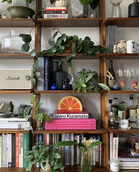 Idealistic Aesthetic, Eclectic Bookshelf, Room Wishlist, Flat Interior Design, Cottagecore Room, Beautiful Bookshelf, Mid Century Modern Interiors, Apartment Life, Room Planning