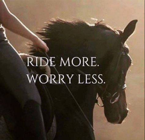 Horse-Sense-MAC-Outdoors-Ride-More-Worry-Less Equine Quotes, Inspirational Horse Quotes, Horse Riding Quotes, Equestrian Quotes, Cowgirl Quotes, Riding Quotes, Horse Inspiration, Country Girl Quotes, All About Horses