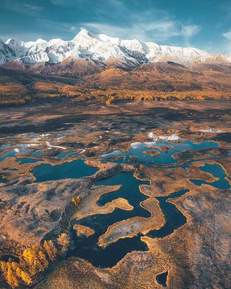 Nature of the Altai Republic, Russia - Imgur Russia Landscape, Russia Nature, Mountain Sheep, Altai Mountains, Relaxation Music, Biome, Landscape Scenery, Paradise On Earth, Nature Images