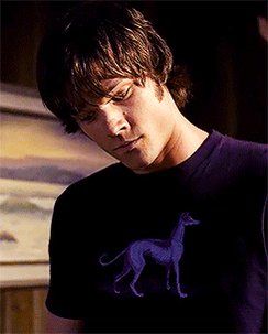 Sammy Winchester, Dean Forester, Jared Padalecki Supernatural, Purple Dog, Sam And Dean Winchester, Like I Love You, Supernatural Sam, Supernatural Memes, Winchester Brothers