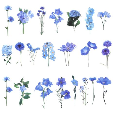 PRICES MAY VARY. Flower Scrapbook Stickers: It's a blue themed flower scrapbook stickes set. You will find different flower shape scrapbooking stickers, like morning glory flower, hydrangeas and campanula flower pattern scrapbook stickers. Easy to Use: You will find these small pieces of flower scrapbook stickers easy to use. Just peel off the back paper, and choose somewhere to decorate. You can use these flower stickers on your daily journaling notebook or travel scrapbook etc. Flower Scrapboo Scrapbook Blue Theme, Blue Theme Stickers, Cute Blue Stickers, Blue Flowers Stickers, Small Flower Stickers, Cute Sticker Designs, Scrapbook Journal Stickers, Campanula Flower, Sticker Themes