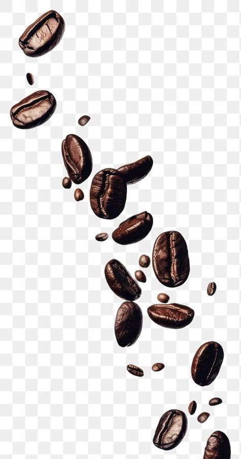 Coffee Bean Cartoon, Coffee Plants, Coffee Grain, Spilled Coffee, Coffee Png, About Coffee, Coffee Stickers, Coffee Bean, Png Transparent