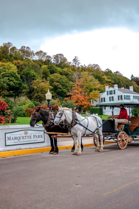 Mackinac Island Fall, Vacation Bucket List, Mackinaw Island, Mackinac Island Michigan, Michigan Girl, Michigan Summer, Mackinaw City, Michigan Vacations, Island Pictures