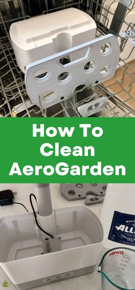 Aerogarden Hack, Aerogarden Ideas, Landscape Ideas Architecture, Ideas Around Trees, Aero Garden, Small Backyard Landscape, Backyard Landscape Ideas, Outdoor Garden Bed, Indoor Hydroponic Gardening