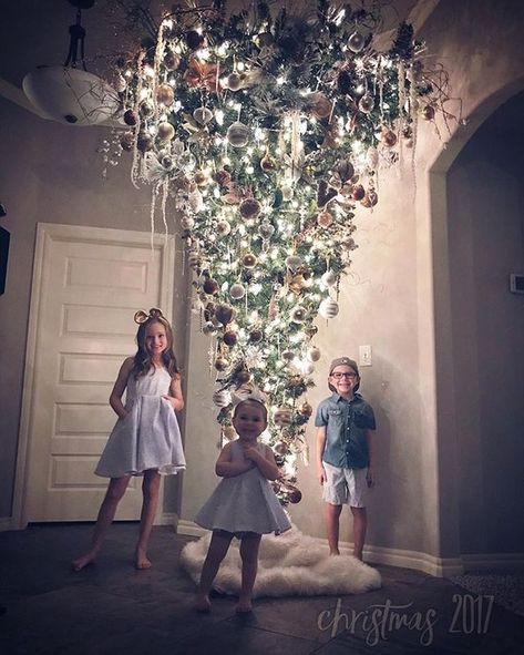 Upside-Down Christmas Trees Sound ... Ladder Christmas Tree, Upside Down Christmas Tree, Christmas Tree Festival, Christmas Tree Inspo, Matching Pictures, Dollar Tree Halloween, Silver Christmas Decorations, Hanging Christmas Tree, Unique Christmas Trees