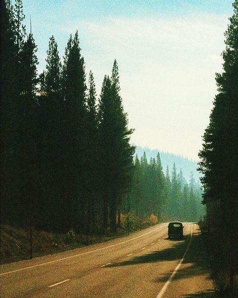 Twd Aesthetic, Kodak Ultramax 400, Ultramax 400, Nikon F3, Kodak Photos, Goodnotes 5, Kodak Film, Kodak Portra, Shooting Photo