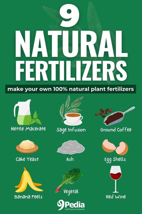 9 Natural Fertilizers for House Plants You Can Make Yourself #naturalfertilizers #fertilizerrecipe #homemadefertilizers Natural Plant Fertilizer How To Make, Diy Vegetable Fertilizer, Indoor Plant Fertilizer Homemade, Organic Garden Fertilizer, Mini Homestead Ideas, Fertilizers For Plants, Homemade Fertilizer For House Plants, Diy Organic Fertilizer, Natural Fertilizer For Vegetable Garden