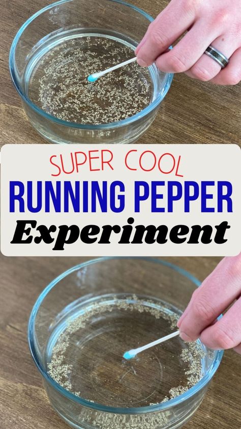 Surface Tension Experiment, Pepper And Soap Experiment, Pepper Experiment, Kid Experiments At Home, Experiments For Kids Easy, Water Experiments For Kids, Soap Experiment, Fun Experiments For Kids, Cool Science Projects