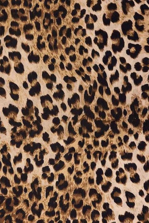 Pattern wallpaper Glamour Leopard Print, Leaped Print Wallpaper, Leopard Print Iphone Wallpaper, Animal Print Background Wallpapers, Lepord Print 2000s Wallpaper, Leopard Aesthetic Wallpaper, Lepord Print 2000s, Leopard Print Background Aesthetic, Iphone Wallpaper Leopard