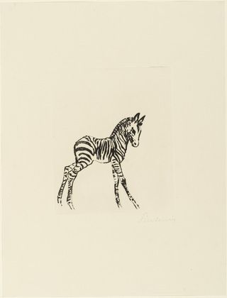 Zebra Tattoo Ideas, Zebra Sketch, Zebra Tattoo, Zebra Tattoos, Zebra Drawing, Zebra Illustration, Vanessa Bell, Animal Spirit Guide, German Expressionism