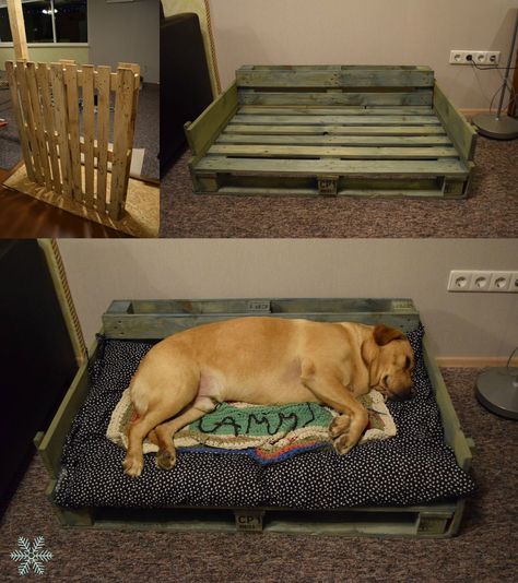 Wood Dog Bed, Pallet Dog Beds, Kennel Ideas, Dogs Diy Projects, Diy Dog Kennel, Pallet Beds, Diy Dog Bed, Dog Kennel Outdoor, Dog Rooms