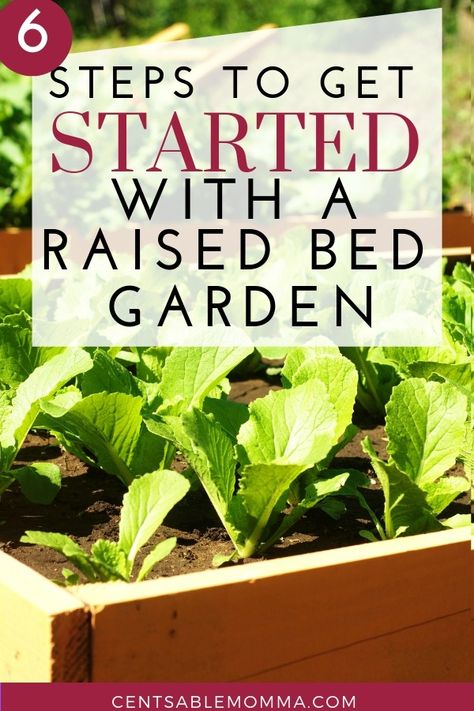 You want to start a garden in your backyard to grow vegetables, but you would rather have a raised bed garden.  Check out these 6 steps to get started with a raised bed garden for some tips for getting your best garden. #garden #gardening #raisedgardenbeds Indoor Gardening Supplies, Raised Bed Gardening, Start A Garden, Raised Bed Garden, Vegetable Garden Raised Beds, Container Garden Design, Grow Vegetables, Gardening 101, Starting A Garden