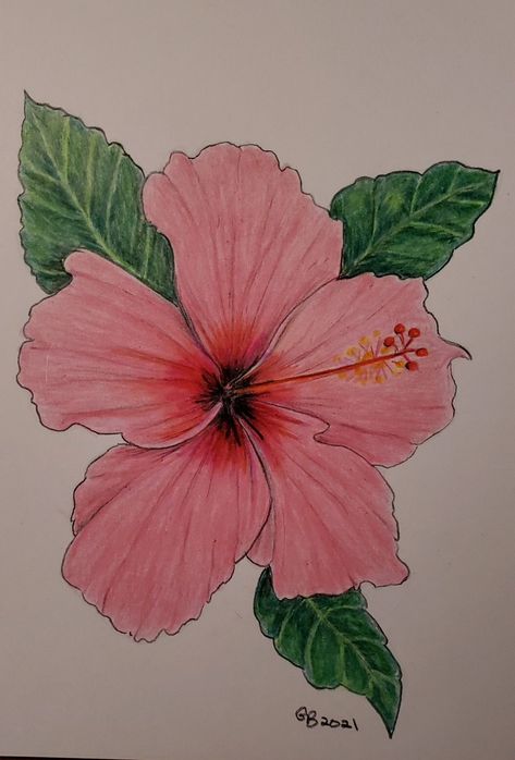 Flower Drawing Colourful, Colored Flower Drawing, Colored Pencil Art Easy Ideas Flower, Flower Drawing Realistic Colored Pencils, Coloured Pencil Art Ideas, Flower Drawings Color, Colored Pencil Flowers Simple, Flower Drawing With Color Pencil, Realistic Flower Drawing Color