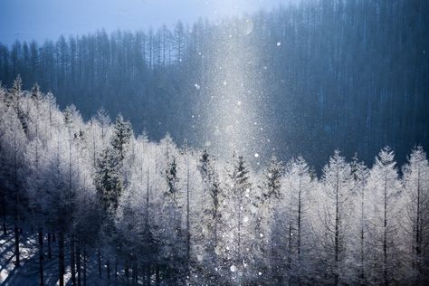 1. Diamond Dust (Hokkaido) Japanese Culture Art, Mystical Nature, Winter Poems, All About Japan, About Japan, Scenery Photos, Diamond Dust, Hd Wallpapers For Mobile, Ice Crystals